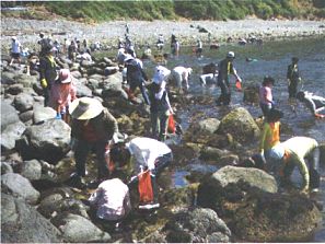 ウニ取り体験・唐津市呼子町加部島